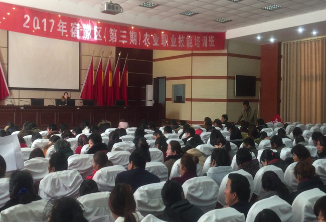開展農(nóng)民職業(yè)技能培訓(xùn)，促進(jìn)農(nóng)業(yè)產(chǎn)業(yè)結(jié)構(gòu)調(diào)整