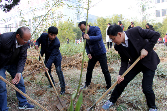 宿遷開放大學(xué)全體教職工開展樹木移植勞動