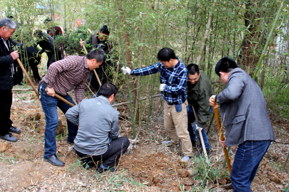 宿遷開放大學(xué)全體教職工開展樹木移植勞動