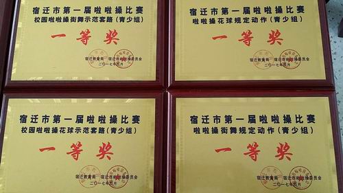 泗陽中專在宿遷市首屆啦啦操比賽中綻放精彩