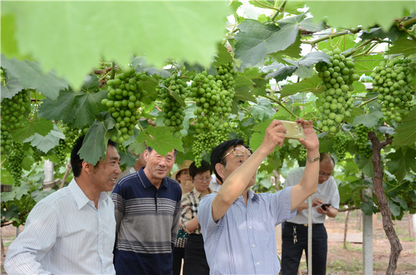 省專家組來沭現(xiàn)場(chǎng)考核教育服務(wù)“三農(nóng)”高水平示范基地
