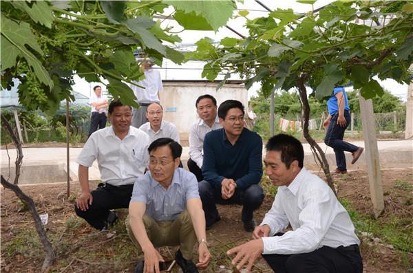 省專家組來沭現(xiàn)場(chǎng)考核教育服務(wù)“三農(nóng)”高水平示范基地
