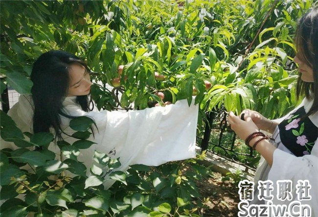 宿遷技師學(xué)院高職部開展豐富多彩的學(xué)生社團活動