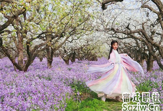 宿遷技師學(xué)院高職部開展豐富多彩的學(xué)生社團活動