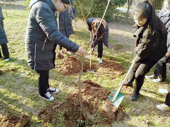 打造綠水青山 建設(shè)美麗校園