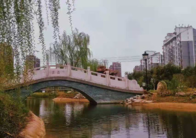 泗陽(yáng)中專(zhuān)：春之韻——我眼中的最美校園