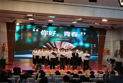 五年積淀 一朝綻放