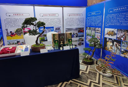 宿遷經(jīng)貿(mào)高職：“沭派盆景工匠”盡展風(fēng)采 勞務(wù)品牌建設(shè)開啟新征程
