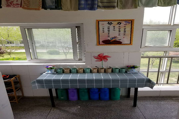 文明之種撒校園??屐痕過處現(xiàn)葳蕤