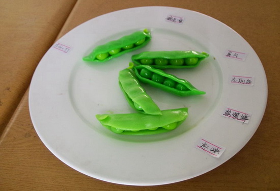 宿豫中等專業(yè)學校舉行橡皮泥手工作品展